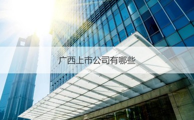 廣西新進環保科技南寧分部及上市公司與道路普通貨運概況
