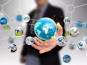 網(wǎng)絡(luò)賦能，智慧監(jiān)管 新區(qū)農(nóng)產(chǎn)品質(zhì)量安全的新范式